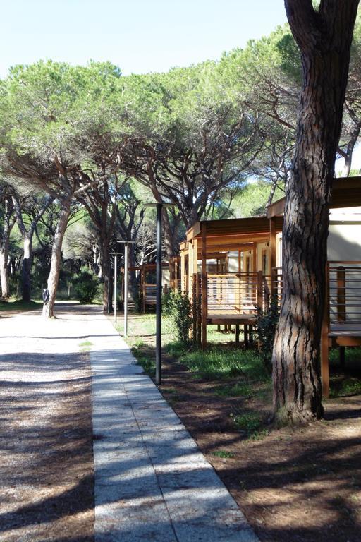 Campingplatz Eden *