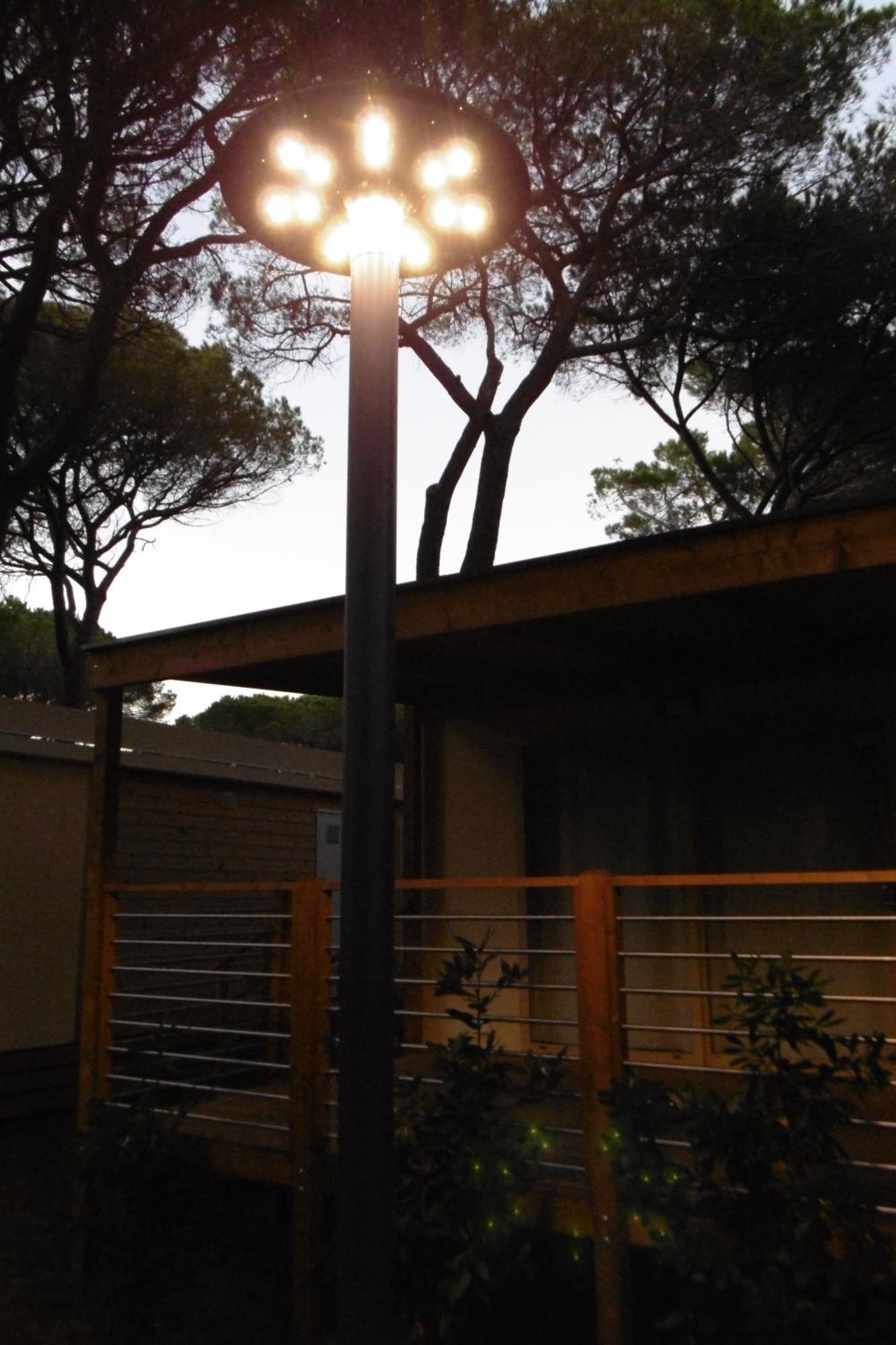 Campsite Eden