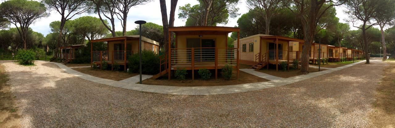 Eden Campsite *