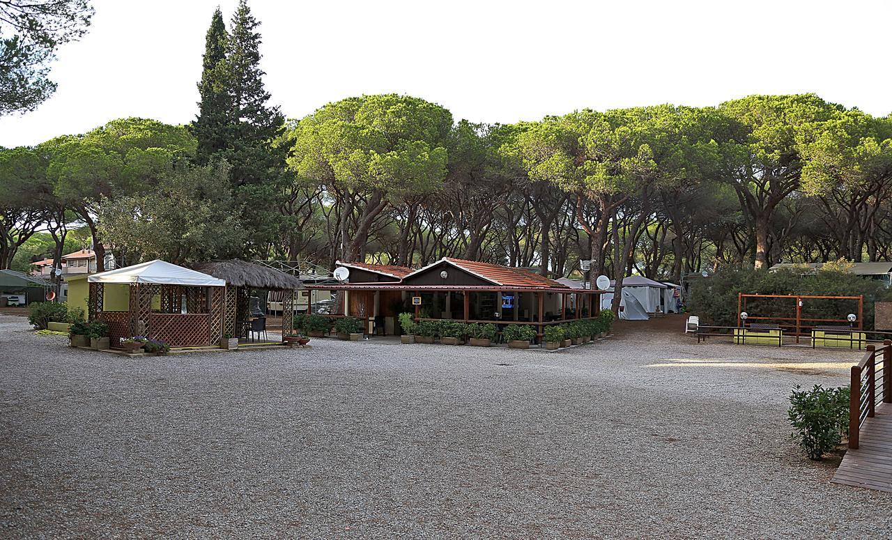 Eden Campingplatz