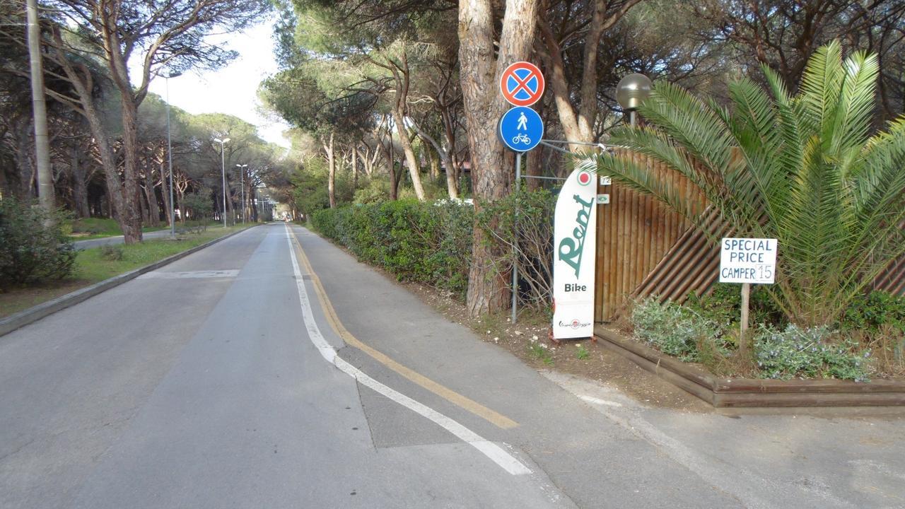 Campsite Eden *