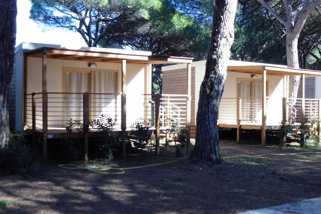 Campsite Camping Eden *